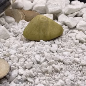 SERPENTINE-PIERRE-ROULEE-VITRINE1